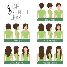 See images of celebrities in 3 different hair lengths: 5 Women S Hair Lengths Explained Charts Diagrams