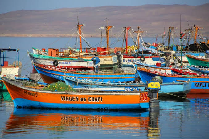 Colorful Fishing Boat Pulled on Sea Shore Jetty in Mumbai Editorial Image - Image of fishing, rough: 220649135