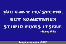 Check spelling or type a new query. You Can T Fix Stupid But Sometimes Stupid Fixes Itself Ownquotes Com
