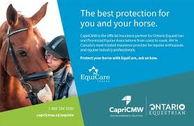 Brought to you by dandb. Capricmw Insurance Services The Rider Marketplace