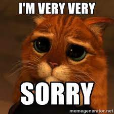 11 Purrfect I M Sorry Memes Random Funny Cat Good Night My Friend Funny Good Night Photos Good Night Sleep Well