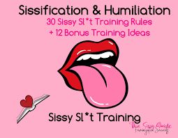 Sissification Rules - Etsy