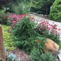 Immerse yourself in a variety of beautiful display gardens that will be sure to inspire you! Blue River Nursery Landscaping Located In Columbia City In