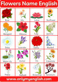 Click on the picture to start learning the interesting facts about each flower. Flowers Name List Of Flower Names In English With Pictures