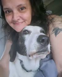 Hello 🌻 Have a beautiful day friends 💖 #harleythebagelhound