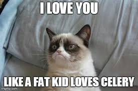 Things Retail Workers Wish They Could Tell You Grumpy Cat Humor Grumpy Cat Quotes Funny Quotes