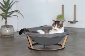 Homedepot.com has been visited by 1m+ users in the past month The Cat S Meow Of Creature Comforts The Japan Times