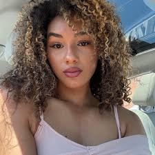 What advice for preparing for new Ragdoll cats?