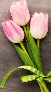 Pin By Ali Wahyudi On Flower Garden Flower Iphone Wallpaper Flower Wallpaper Pretty Flowers