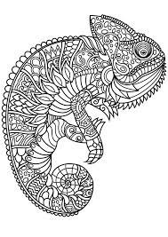 By best coloring pagesaugust 21st 2019. Free Book Chameleon Chameleons Lizards Adult Coloring Pages