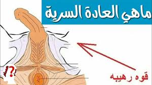 ماهي العادة السرية من الذي يمارس العادة في اي عمر الذي يمارس اضرار فوئد العادة الجنسية Youtube