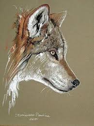 Wolf By Paulina Stasikowska Wolf Art Print Nature Art Prints Animal Art