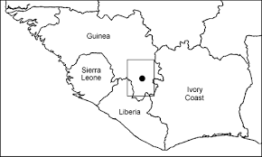 Image result for Eriosema chrysadenium