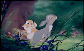 View, download, rate, and comment on some awesome animated gifs! Bae Bambi Rabbit Double Take Gif On Gifer By Jojotilar