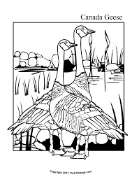 When it gets too hot to play outside, these summer printables of beaches, fish, flowers, and more will keep kids entertained. Canada Geese Free Coloring Pages For Kids Printable Colouring Sheets Coloring Pages Free Coloring Pages Bird Coloring Pages