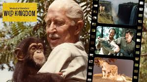 Every Sunday, before Disney, we would watch Wild Kingdon (Brought to you by  Mutual of Omaha)