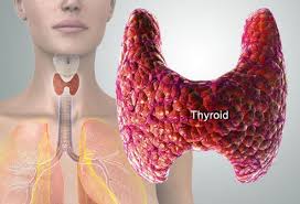 Maybe you would like to learn more about one of these? Thyroid Disorders Types Symptoms Treatment Causes Curable