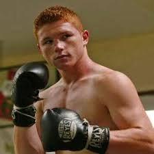 Together they have eight children and among these eight seven of their children are professional boxers including their daughter ana alvarez and canelo alvarez. Canelo Alvarez Birthday Real Name Age Weight Height Family Contact Details Wife Affairs Bio More Notednames