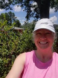 Caring for blueberry bushes as a beginner?