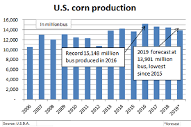 u s d a sees corn production down 3 6 soybeans down 19