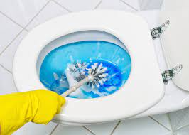 Ablagerungen Unter Dem Toilettenrand So Entfernen Sie Sie
