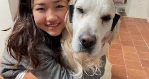 Don de moelle osseuse. L'appel d'un couple normand : « Vous pouvez  peut-être sauver notre