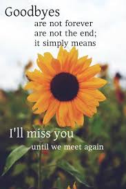 It simply means i will miss you till we meet again. 27 Good Bye Farewell Ideas Goodbye Quotes Bye Quotes Farewell Quotes