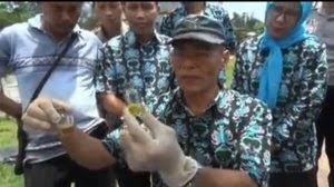 Check spelling or type a new query. Buah Anggur Berformalin Dijual Bebas Ternyata Hoax Media Nusantara News