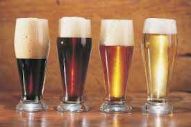Scientists from the university of bristol have manag. Is Beer A Good Plant Food