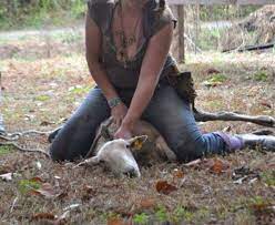 Woman slaughtering sheep/for qurbani of miss sumaya. Woman Slaughter Sheep Kcpc Org