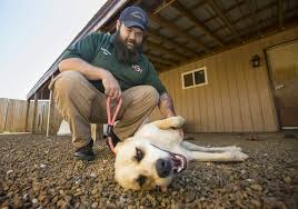 Over a million dog lovers trust rover for dog boarding & pet sitting. Bentonville Animal Shelter Plans Hit Rough Patch