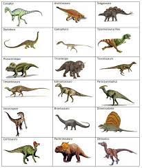 The following is a list of dinosaurs. 61f86a41b78085978ccdbc8b280b4a45 Jpg 570 674 Dinosaur Pictures Dinosaur Activities Dinosaurs Preschool
