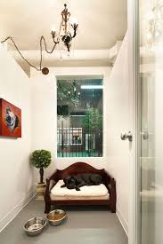 Jet Pet Resort The Ultimate Pet Friendly Hotel At Affordable Cost Dog Friendly Hotels In Vancouver Do Dog Boarding Facility Luxury Pet Dog Boarding Ideas