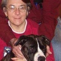 From Sarah to Sydney: The Woman Behind All-of-a-Kind Family by June Cummins 