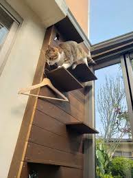 ガーデンルームは猫の遊び場 リトルグローヴ 相模原市 施工専門店 猫の遊び場 在宅ワーク サンルーム