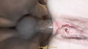 Gaya anjing anal - 03 | xHamster