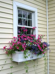 These lighting flowers come in single units as well as in strings to be used as an. Windowbox Window Box Contest Window Boxes Window Box Window Planter Boxes