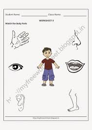 Download and print turtle diary's body parts for kids worksheet. My Free Worksheet Printable Worksheets For Nursery Best Body Part Kindergarten Match Parts Images On Ideas Samsfriedchickenanddonuts