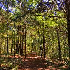 Find things to do for all ages at the tower grove park, missouri botanical garden, meramec caverns, purina farms, hidden valley ski. Best Hiking Spots Near St Louis