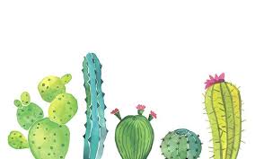 Cactus bruce and the corporate monkeys is a popular, trial version windows game, being part it's a game often downloaded in indonesia, egypt, and russian federation. Free Download Cactus Wallpaper Hd Images 1080p Wallpaper Iphone Wallpaper Macbook Wallpaper Desktop