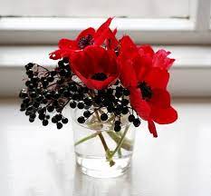 Anemones Flower Arrangements Red Flowers Pretty Flowers