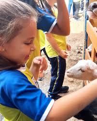 Granja La Gallinita Felíz