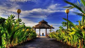 Best desktop wallpapers, full hd backgrounds. Pin By Vanessa Parkman On Hdr Paradise Wallpaper Nature Wallpaper Beautiful Places In The World