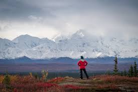Book your hotel in kodiak ak online. Winter Activities In Alaska Kodiak Compass Suites