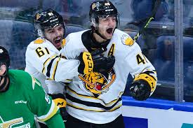 Il s'agit d'une ligue de hockey simulé basé sur la ligue de hockey junior majeur du québec (lhjmq). Lhjmq Les Tigres Surprennent Les Foreurs En Ouverture De Finale La Presse