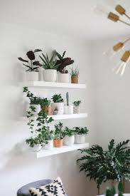Make your indoor garden practical by planting a few edible herbs into small pots and hanging them from curtain rails over a sunny window in your kitchen. 39 Smart Ideas To Display Indoor Plants Room With Plants Living Room Plants Living Wall Indoor