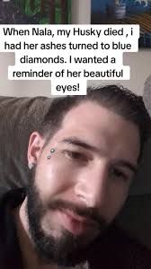 How Did Blue The Husky Die