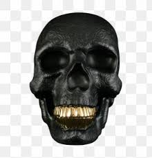 We did not find results for: Gold Teeth Images Gold Teeth Transparent Png Free Download