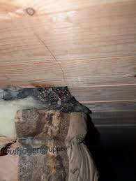 Image result for site:byggahus.se missfärgning