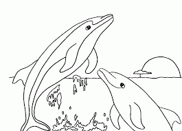 Download this adorable dog printable to delight your child. Printable Dolphin Coloring Pages Coloring Home